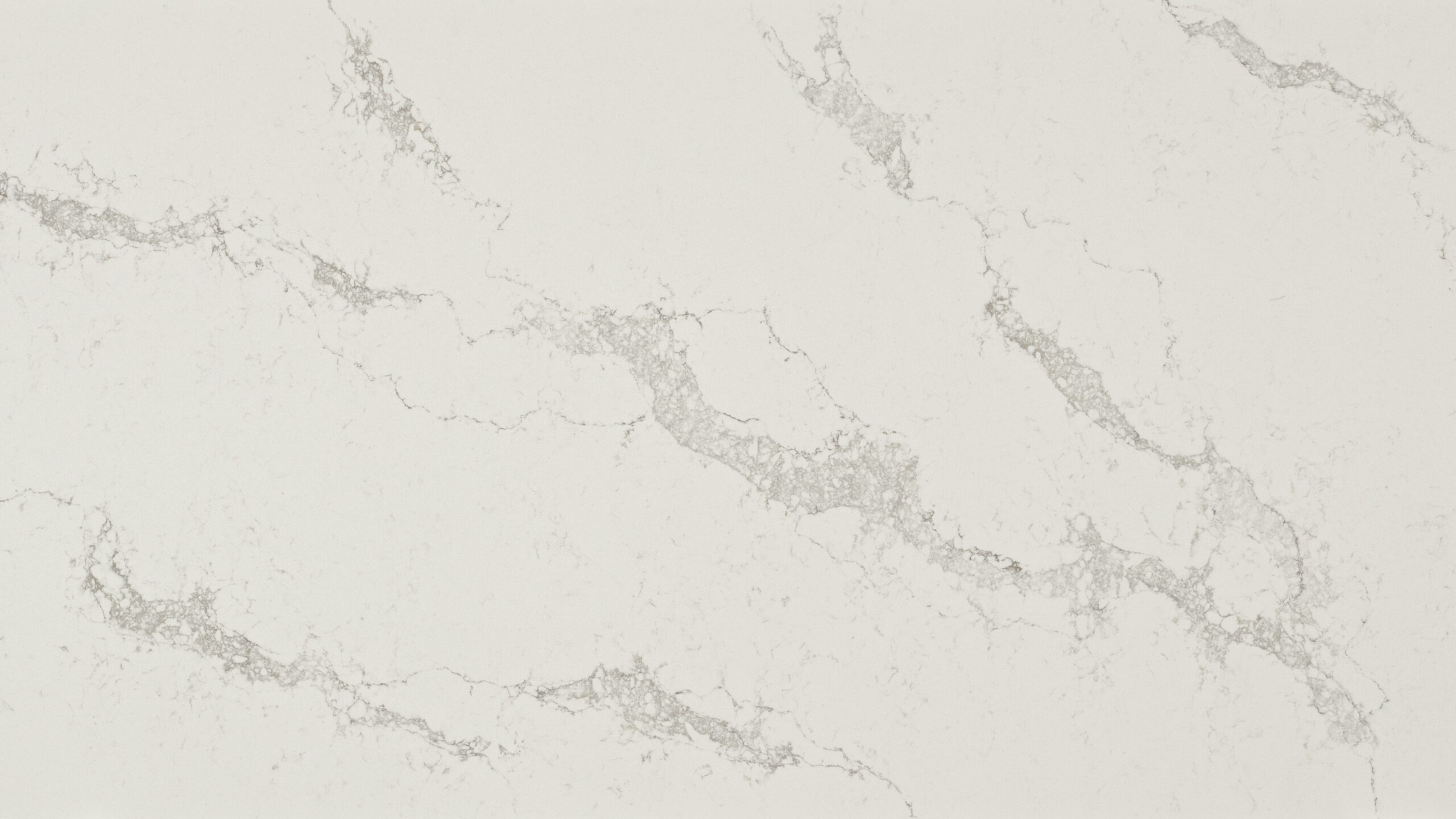 5031 Statuario Maximus